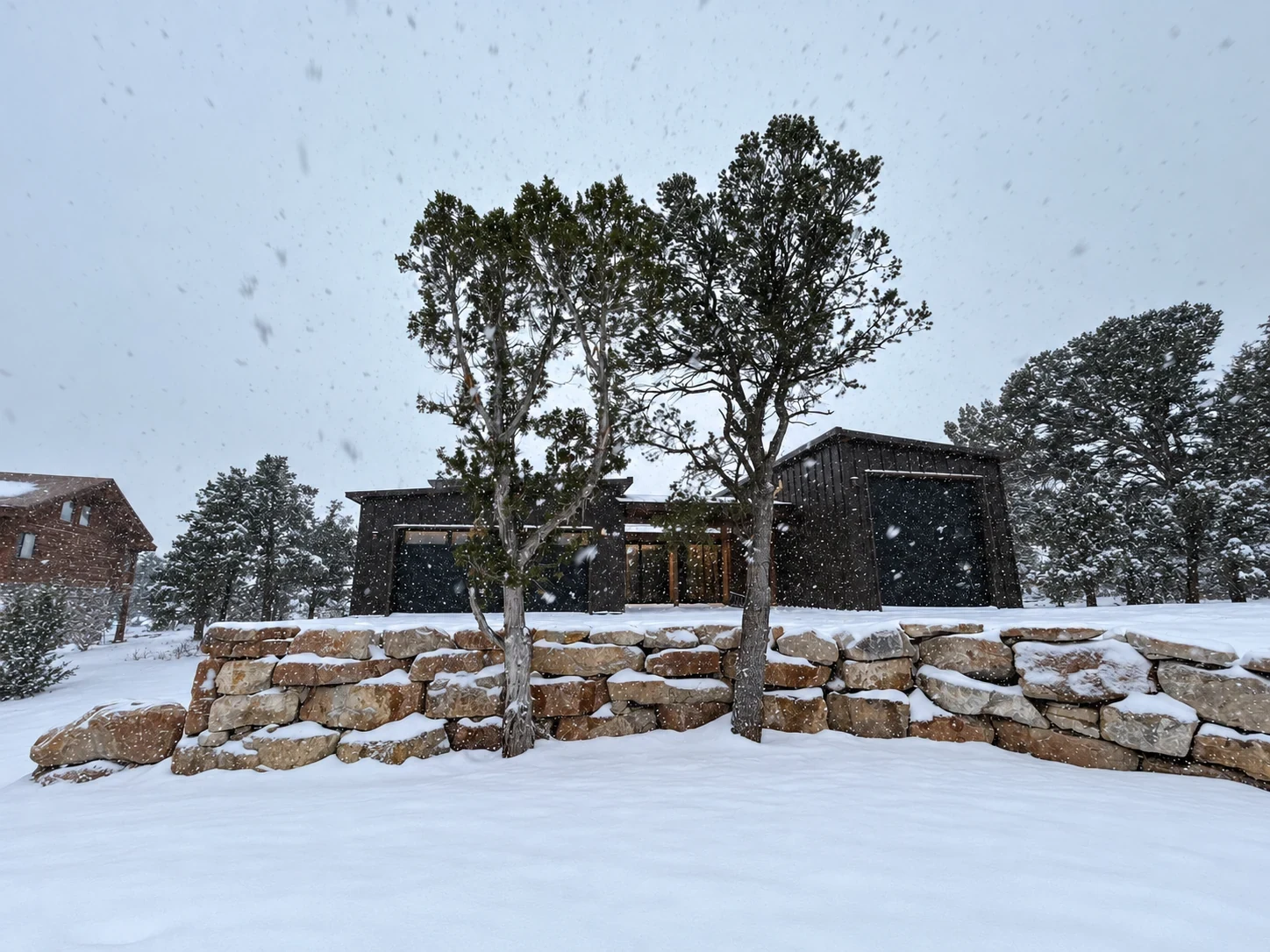Snowy exterior residence at Pine Dr in Ridgway Colorado